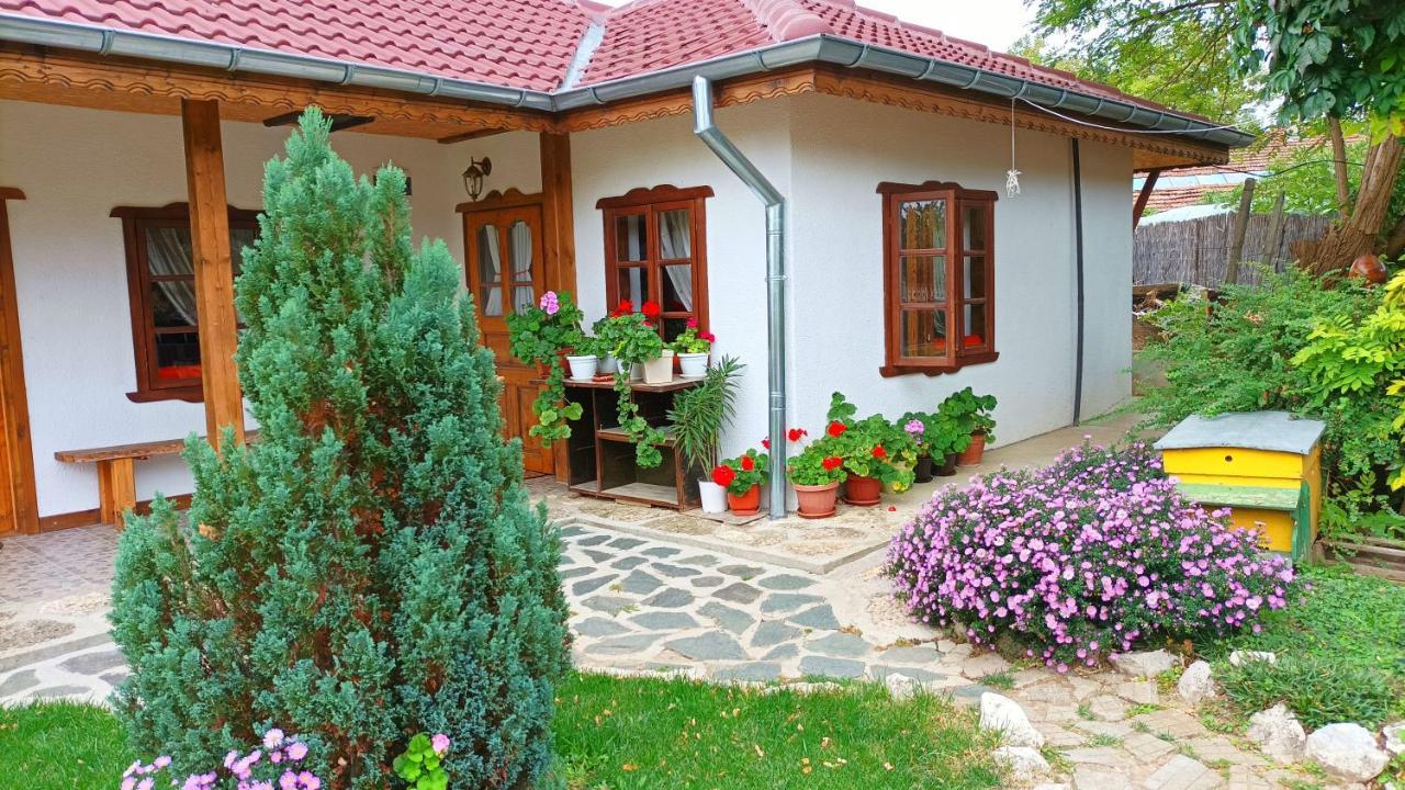 Babinata Kashta-Srebarna Hotel Sreburna Exterior photo