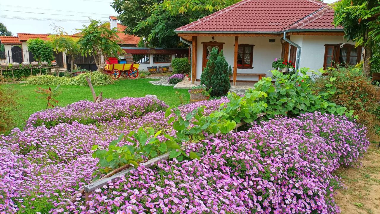 Babinata Kashta-Srebarna Hotel Sreburna Exterior photo